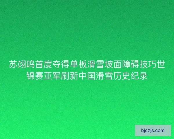苏翊鸣首度夺得单板滑雪坡面障碍技巧世锦赛亚军刷新中国滑雪历史纪录