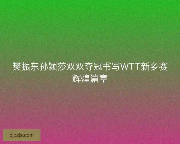 樊振东孙颖莎双双夺冠书写WTT新乡赛辉煌篇章