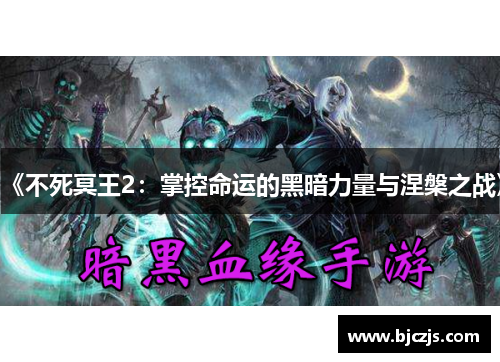 《不死冥王2：掌控命运的黑暗力量与涅槃之战》