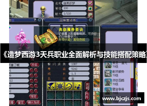 《造梦西游3天兵职业全面解析与技能搭配策略》